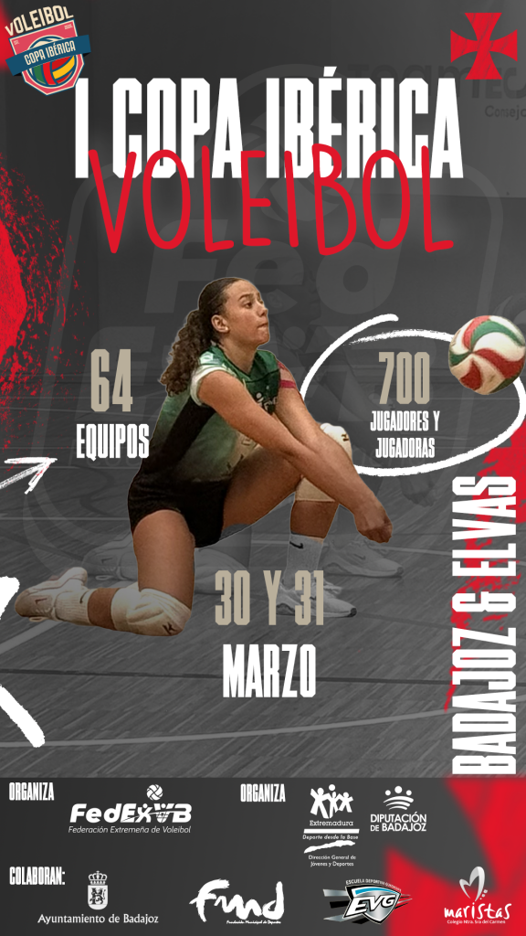 Cartel Copa Ibérica